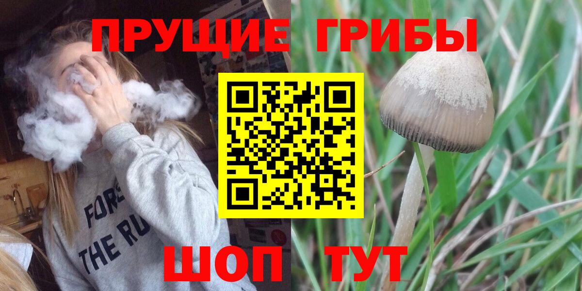 Псилоцибиновые грибы мухоморы Канаш