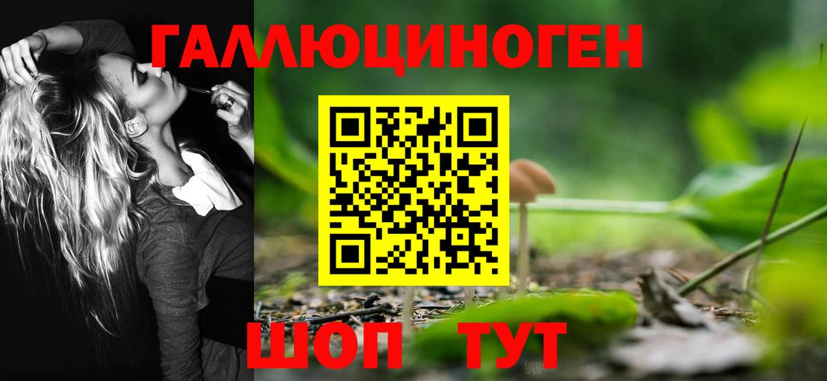 Псилоцибиновые грибы GOLDEN TEACHER  Вход с VPN  Канаш  Галлюциногенные грибы мицелий 